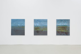 Falz III, exhibition view, ASPN, Leipzig 2018 