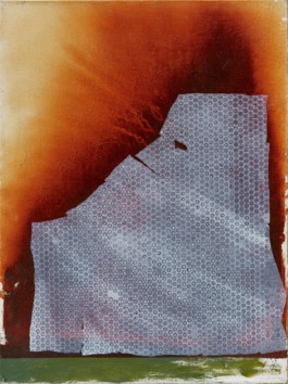 Untitled (Lupo), 2016, oil/canvas, 80x60 cm 