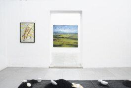 Exhibition view: Double Eye Trouble, Rizzuto Gallery, Palermo 